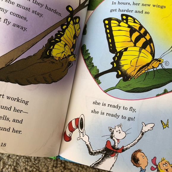 De Seuss Cat in the Hat. My oh my - a butterfly! - Picture 4 of 9